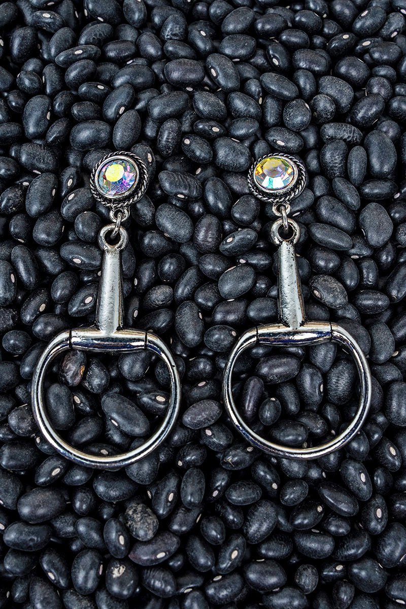 TIPI Iridescent Stable Chic Silvertone Earrings - Wholesale Accessory Market