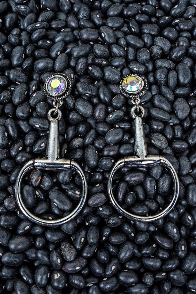 TIPI Iridescent Stable Chic Silvertone Earrings - Wholesale Accessory Market