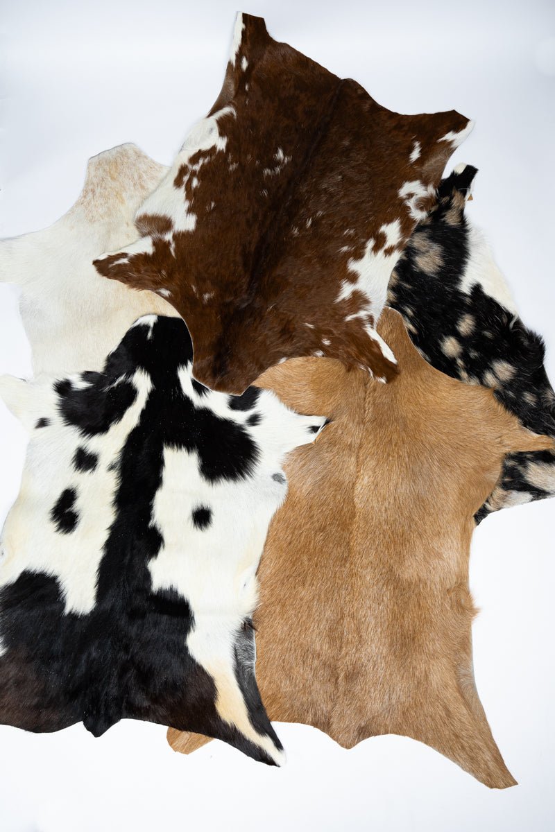 TIPI One Pepper Creek Petite Cowhide Rug Display - Ships Assorted - Wholesale Accessory Market