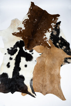 TIPI One Pepper Creek Petite Cowhide Rug Display - Ships Assorted - Wholesale Accessory Market