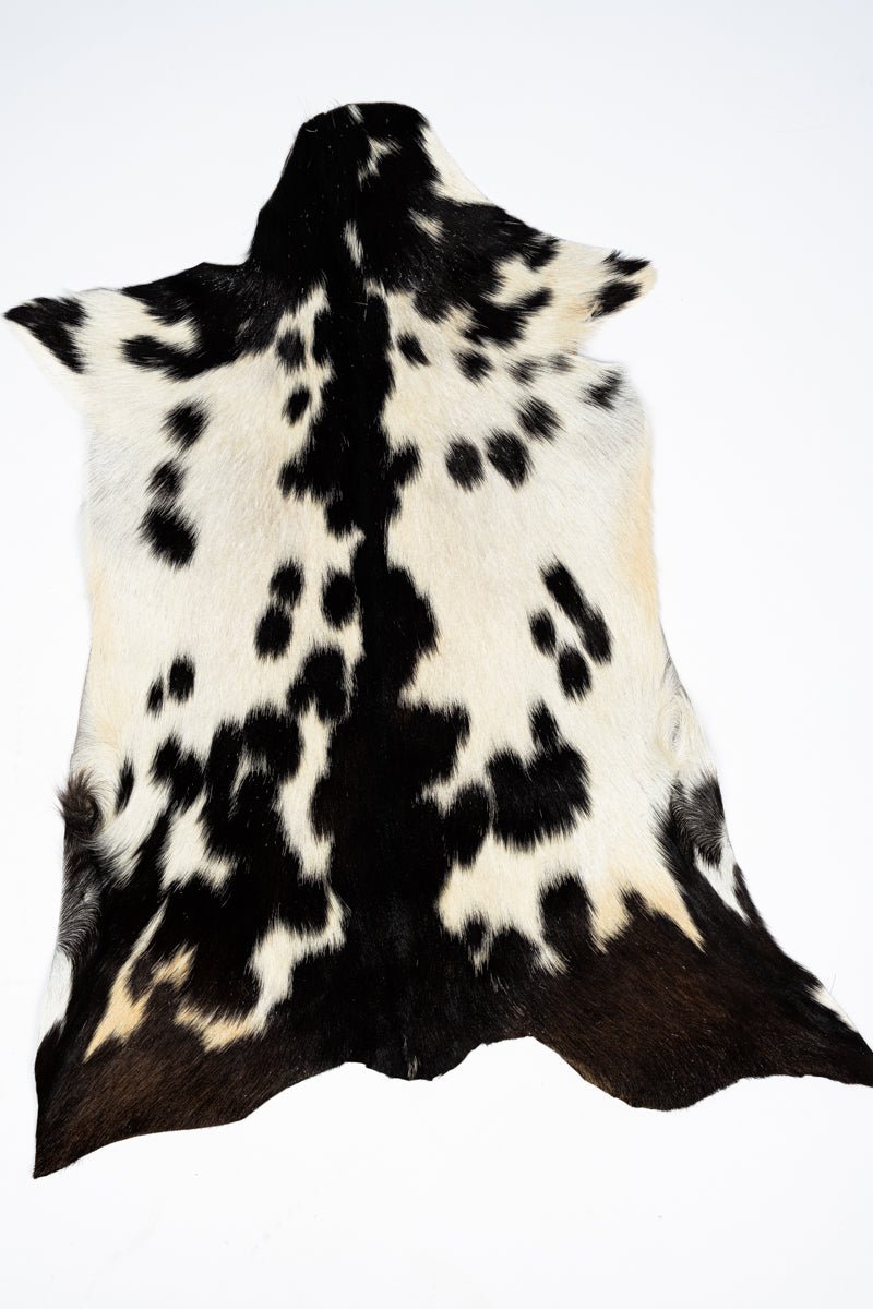 TIPI One Pepper Creek Petite Cowhide Rug Display - Ships Assorted - Wholesale Accessory Market