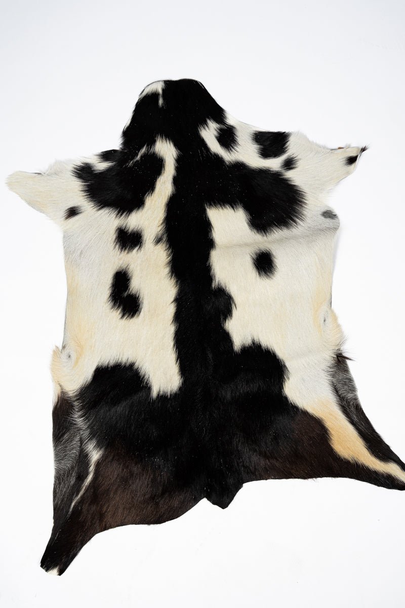 TIPI One Pepper Creek Petite Cowhide Rug Display - Ships Assorted - Wholesale Accessory Market