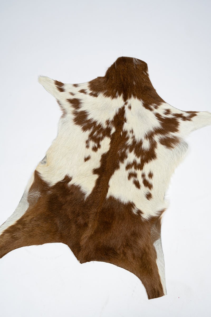 TIPI One Chestnut Cove Petite Cowhide Rug Display - Ships Assorted - Wholesale Accessory Market