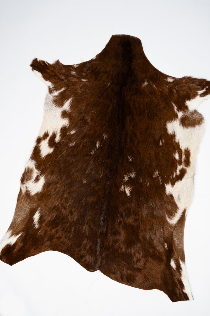 TIPI One Chestnut Cove Petite Cowhide Rug Display - Ships Assorted - Wholesale Accessory Market