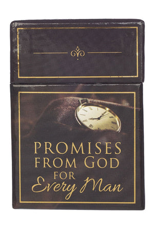 101 Promises From God For Every Man Promise Cards - Wholesale Accessory Market