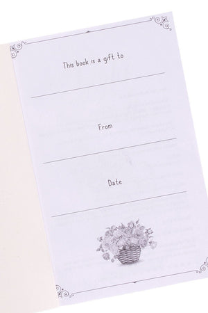 Daily Light For Your Daily Path Devotional - Wholesale Accessory Market