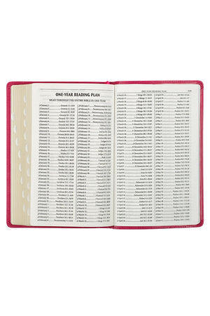 Pink Botanical Faux Leather KJV Deluxe Gift Bible with Thumb Index - Wholesale Accessory Market