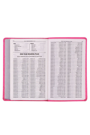Pearlized Pink Faux Leather KJV Gift Edition Bible - Wholesale Accessory Market