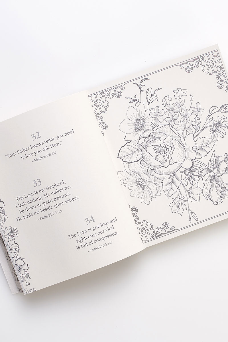 365 Promises From God's Word in Color - Wholesale Accessory Market