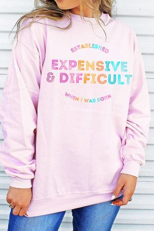 Colorful Expensive And Difficult Heavy-weight Crew Sweatshirt - Wholesale Accessory Market