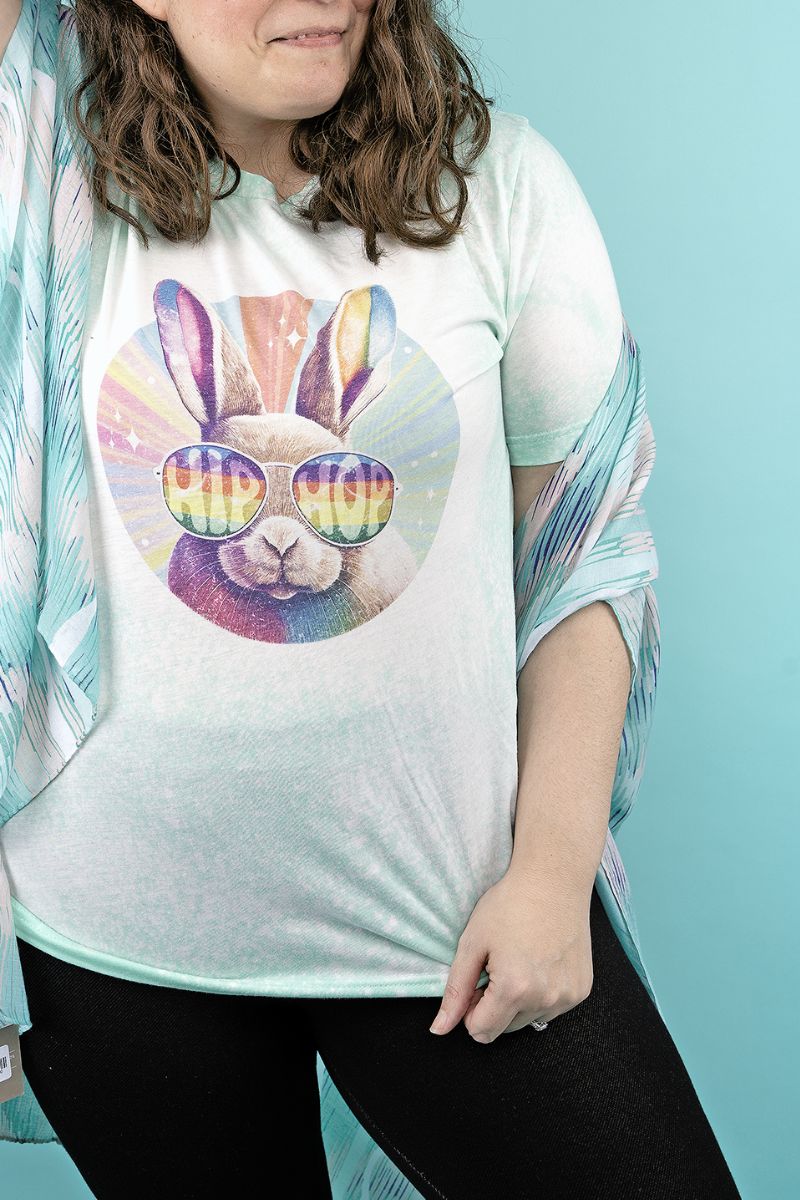 Bleached Groovy Bunny Hip Hop Tri-Blend Short Sleeve Tee - Wholesale Accessory Market