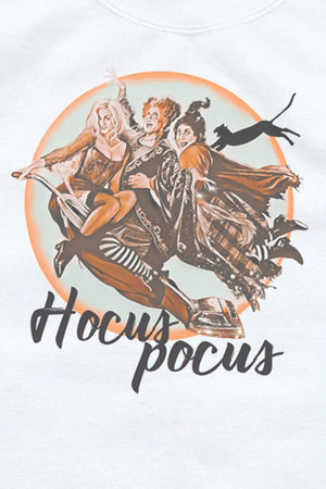 Vintage Hocus Pocus Unisex NuBlend Crew Sweatshirt - Wholesale Accessory Market