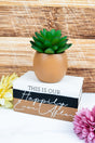 8 x 5 'Happily Ever After' Book Planter with Artificial Succulent - Wholesale Accessory Market
